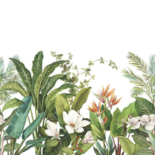 Фотопанно Anthology Resource DB11800m