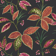 Обои Maui Maui TP80800