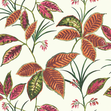 Обои Maui Maui TP80810