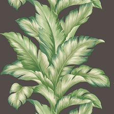 Обои Maui Maui TP81200