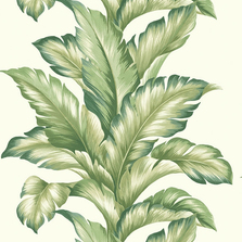 Обои Maui Maui TP81204