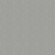 Обои EUPHORIE EF1005