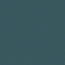 Обои EUPHORIE EF6003