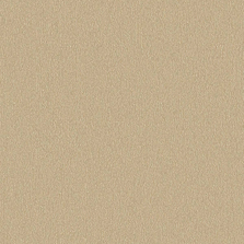 Обои EUPHORIE EF6024