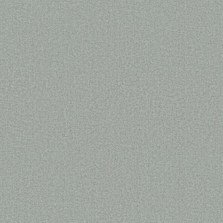 Обои EUPHORIE EF6057