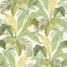 Обои Lotus LOT003