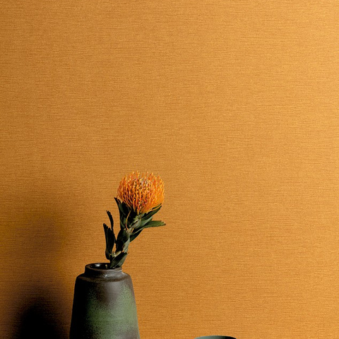 Обои Lotus OLI705