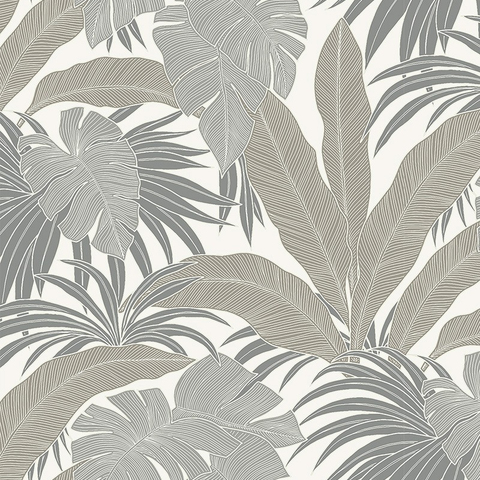 Обои Antigua AN70307