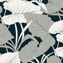 Обои Antigua AN71200